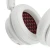 b25058fbb0eeec32a3d02dcae50cee80.webp