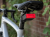 4a66f1e9ff368acd9e0c1ed0c7238d48.png